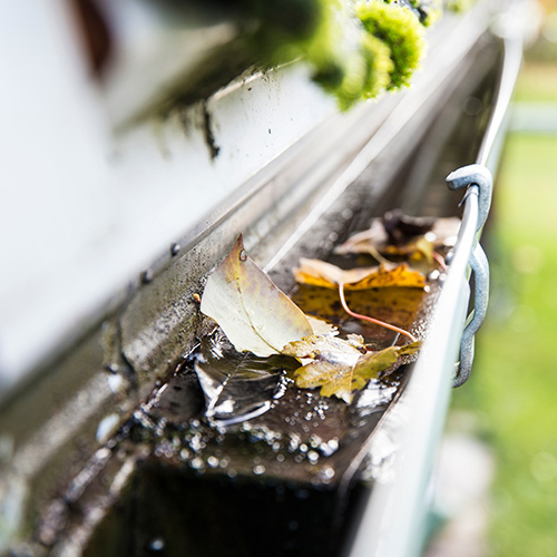 Gutter Cleaning