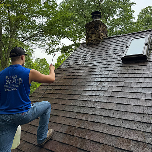 Roof Cleaning